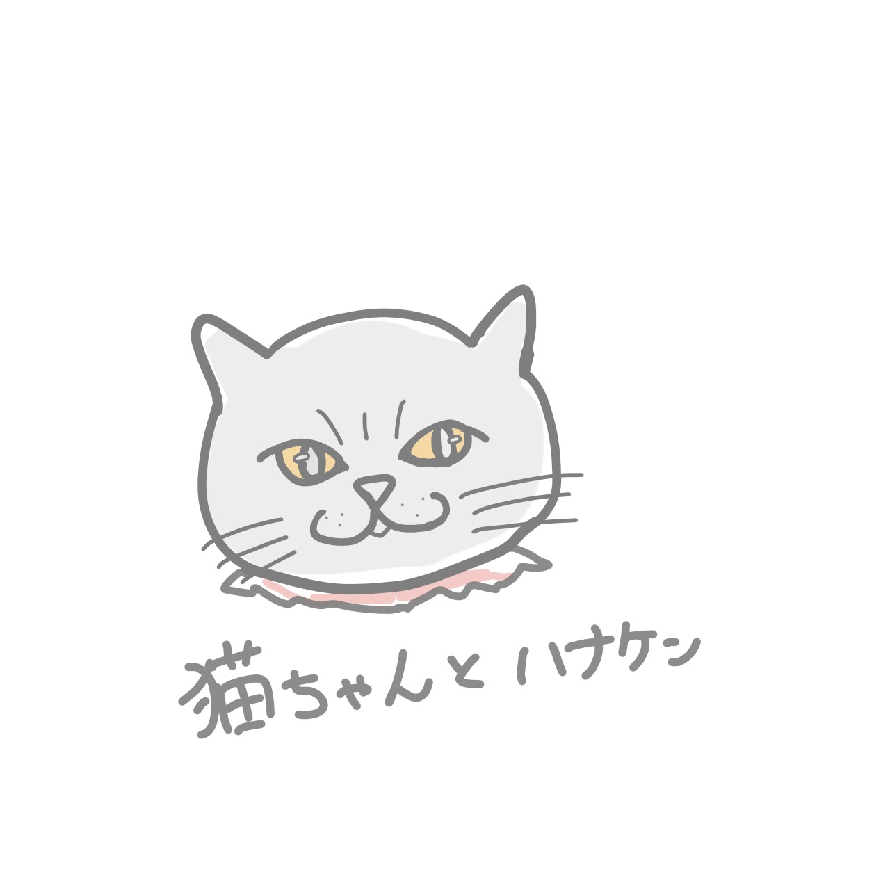 猫ちゃんとの暮らしにぴったり！？ハナケンのお家のヒミツ