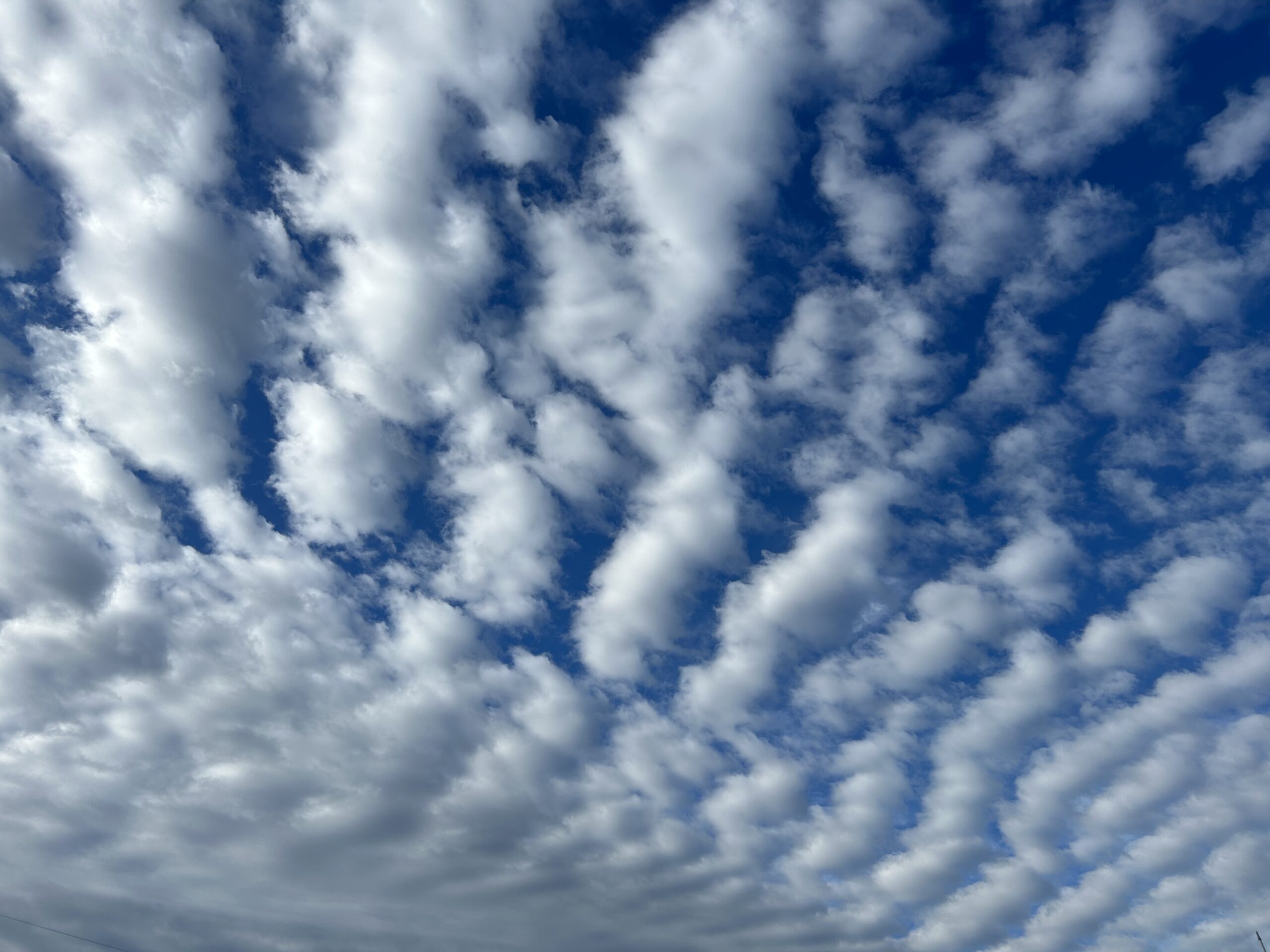 安心・安全な家⑳