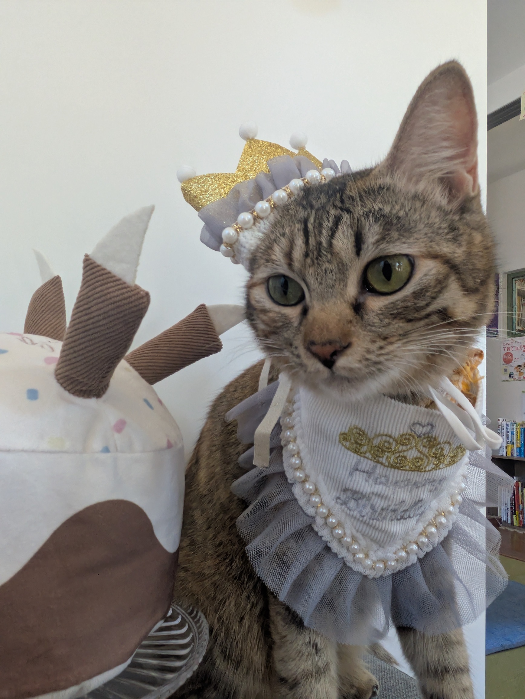 家族になって1年