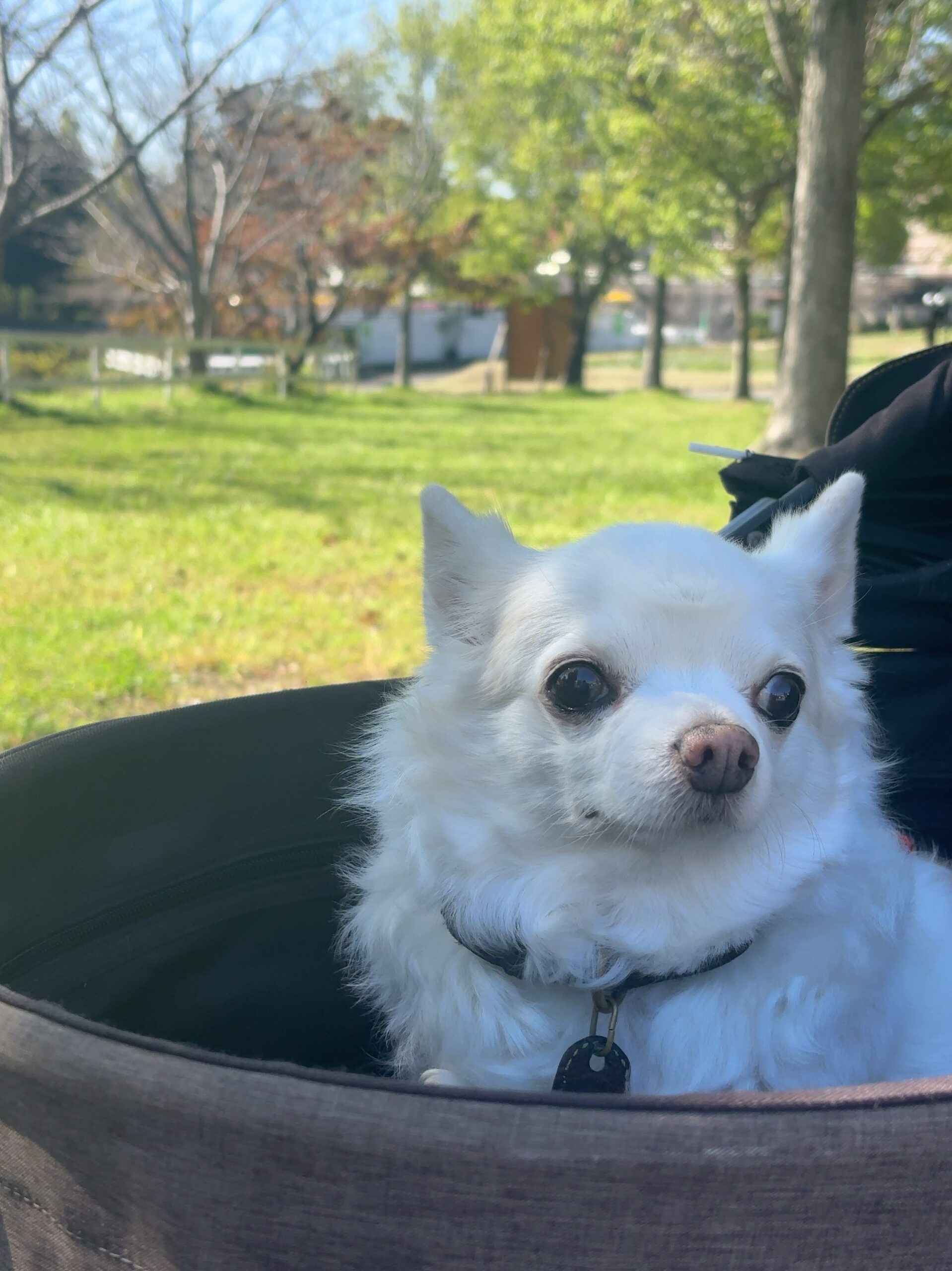 暮らしてわかる“これあればよかった”の話