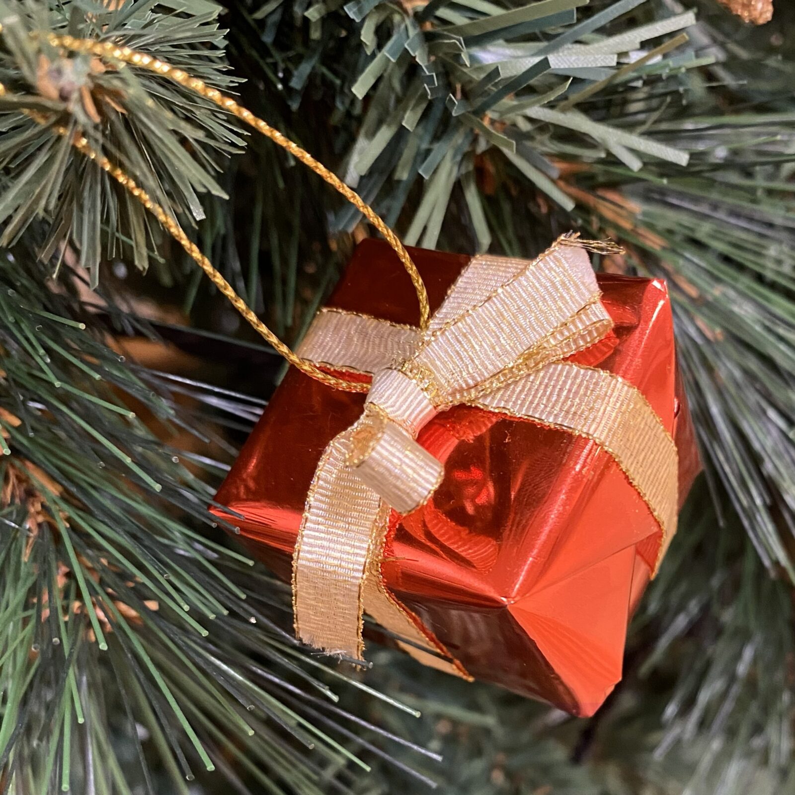 ハナケンスタッフ⑪