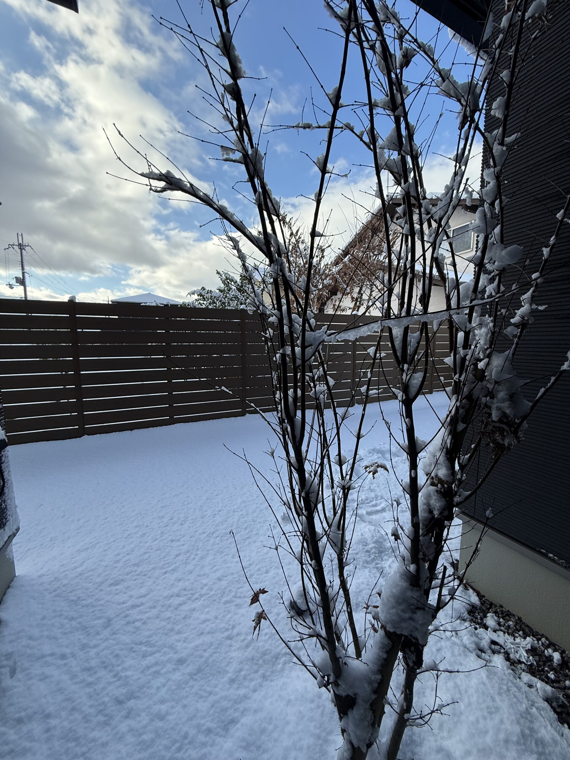 雪、、１月の電気代🤣