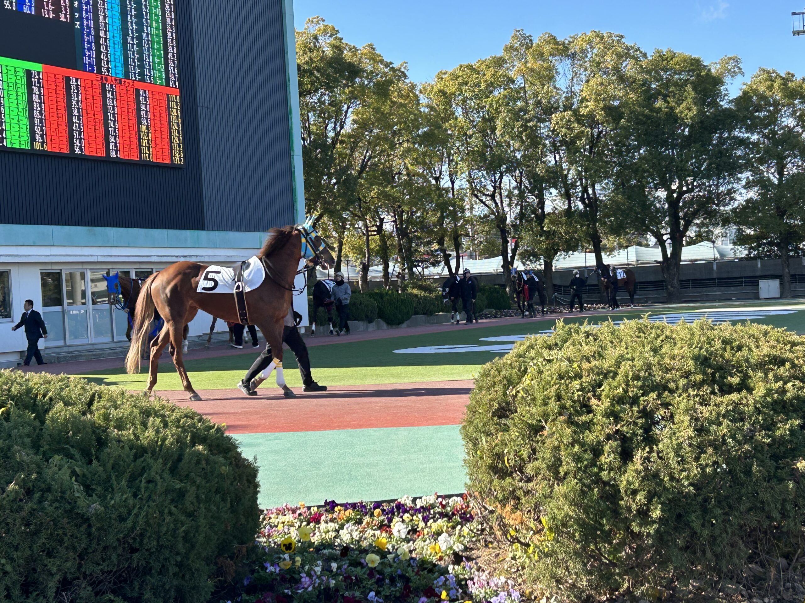 平屋を考える　①