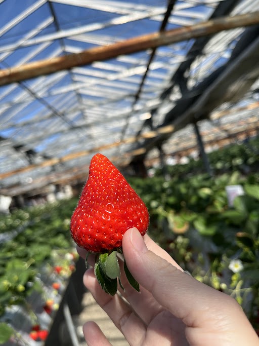 もぉ春、、？？？