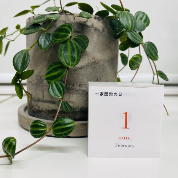 彦根のええとこ④